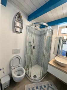 a bathroom with a shower and a toilet and a sink at Dépendance in San Vito