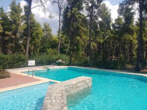 a person is jumping into a swimming pool at Sani Villa Christy in Sani Beach