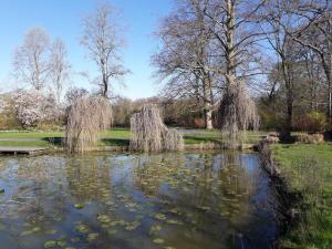 einen Teich mit Lilien in einem Park mit Bäumen in der Unterkunft Het Maelslot (Mechelen) in Mechelen