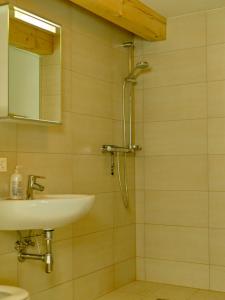 a bathroom with a sink and a shower at Seiber 172 in Weissenkirchen in der Wachau