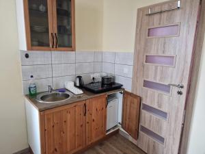 Kuchnia lub aneks kuchenny w obiekcie Domki na Kaszubach