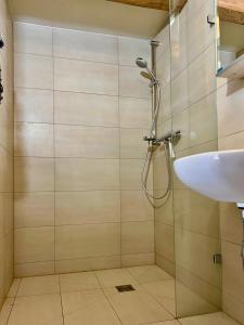 ein Bad mit einer Dusche und einem Waschbecken in der Unterkunft Seiber 172 in Weissenkirchen in der Wachau