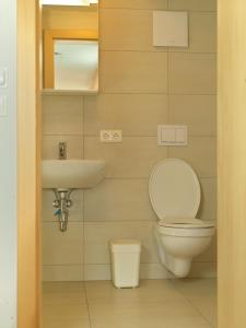 A bathroom at Seiber 172