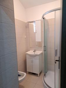 a bathroom with a sink and a shower and a toilet at Apartman Ema in Grebaštica