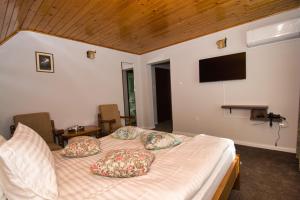 カリマネシュティにあるMotel Seacaのベッドルーム(ベッド1台、薄型テレビ付)