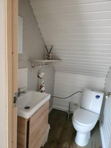 a bathroom with a white toilet and a sink at Pirts māja in Engure