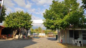a building with a tree in front of it at Camping Mitikas and Bungalows in Plaka Litochorou