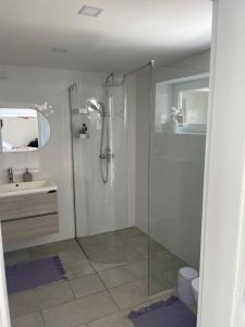 W łazience znajduje się szklana kabina prysznicowa i umywalka. w obiekcie U Vlcaku w mieście Vřesovice