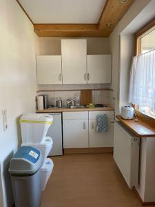 a small kitchen with a toilet and a sink at Apartment mit Ausblick in Lambrecht