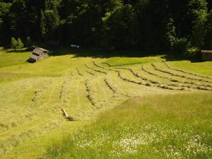 Natuurlandschap vlak bij het vakantiehuis