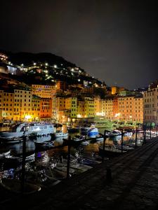 a group of boats docked in a harbor at night at Embarcadero with New Powerful WiFi in Camogli