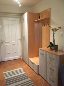 a room with a closet with a cabinet and a door at Jázmin Deluxe Apartman in Harkány