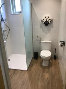 uma casa de banho com um chuveiro e um WC com uma porta de vidro em t Schooltje em Schoondijke