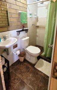 a bathroom with a toilet and a sink at La Rosaleda 1 - Hermosa finca en Paipa in Paipa