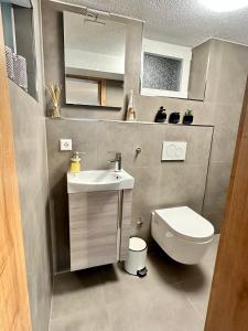 a small bathroom with a sink and a toilet at FeWo am Riedlewald in Friedrichshafen
