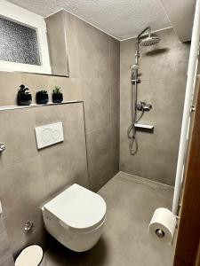 a bathroom with a toilet and a shower at FeWo am Riedlewald in Friedrichshafen