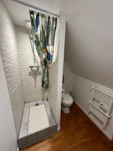 La petite salle de bains est pourvue d'une douche et de toilettes. dans l'établissement Superbe appartement proche centre ville, thermes, à Bagnères-de-Bigorre