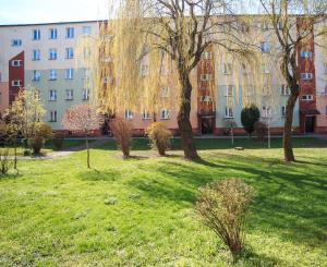 Vonkajšia záhrada v ubytovaní Studio dla Dwojga