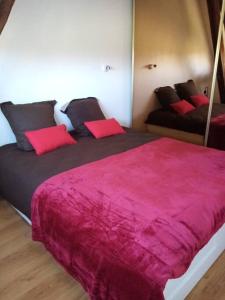 Gîte de groupe du Coudray : غرفة نوم بسرير كبير مع بطانية وردية