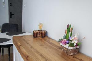 Fotografia z galérie ubytovania Studio dla Dwojga v destinácii Sanok