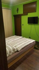 プロスチェヨフにあるApartmán Stellaの緑の壁のベッドルーム1室