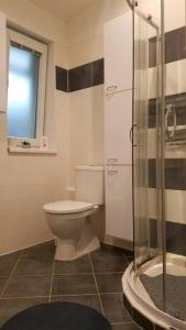 a bathroom with a toilet and a glass shower at Apartmán Stella in Prostějov