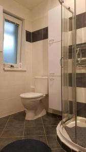 プロスチェヨフにあるApartmán Stellaのバスルーム(トイレ、ガラス張りのシャワー付)