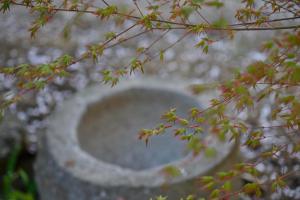 Fotografie z fotogalerie ubytování 日本の伝統旅館 かんなから 1日1組限定貸切 v destinaci Tonosho