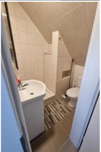 萊爾特的住宿－Monteur- und Messezimmer Jelinski Arpke，一间带水槽和卫生间的小浴室