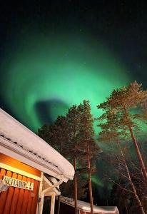 an aurora in the sky over trees and a house at Apartment Neitamo44 in Ivalo