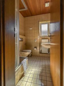 a bathroom with a toilet and a sink at Keller Höhe in Andernach