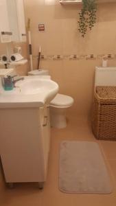 La salle de bains est pourvue d'un lavabo blanc et de toilettes. dans l'établissement Cosy and fully furnished 2 bedroom apartment, à Istanbul