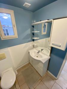 een badkamer met een witte wastafel en een toilet bij Chevrerie des Oliviers in Saint-Georges-sur-Allier
