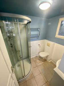 een badkamer met een douche en een toilet bij Chevrerie des Oliviers in Saint-Georges-sur-Allier