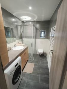 a bathroom with a sink and a washing machine at Superbe appartement neuf et cosy 77 m2 in Villers-le-Lac