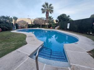 a swimming pool in a yard with a palm tree at Ático Chipre naturist FKK Vera-playa in Vera