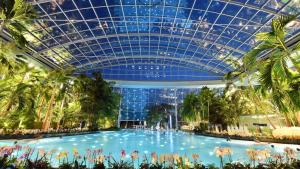 Der Swimmingpool an oder in der Nähe von Haus Eifelinchen