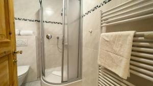 a bathroom with a shower and a toilet at Haus Dortmund FeWo 1 in Cuxhaven