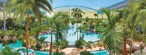 eine Aussicht über den Pool des Resorts mit Palmen in der Unterkunft Haus Eifelinchen in Schleiden