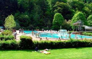 Der Swimmingpool an oder in der Nähe von Haus Eifelinchen