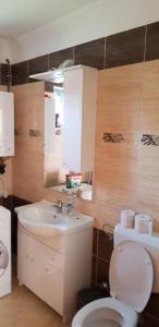 A bathroom at Rajmund vendeghaz