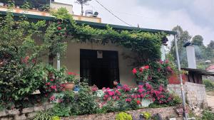 Κήπος έξω από το You hour homestay