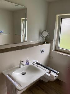 a bathroom with a white sink and a mirror at Zur Clemens Hütte in Drolshagen