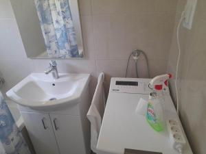 a small bathroom with a sink and a white sink at Villa Wind Apartments in Drače