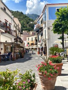 a city street with flowers in large pots at Casa Landi in Cetara