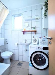 a bathroom with a washing machine and a sink at Charming Cottage Novo Čiče in Novo Čiče
