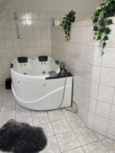 Kép Remo's Villa by Zugló szállásáról Budapesten a galériában