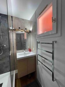 La petite salle de bains est pourvue d'un lavabo et d'une douche. dans l'établissement Appartement Cap Esterel 4/5 personnes, à Saint-Raphaël