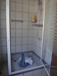 ein Badezimmer mit einer Dusche und einer blauen Badewanne in der Unterkunft Haus Eifelinchen in Schleiden