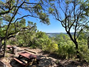 a picnic table in the forest with a view at The Bygone in Wimberley